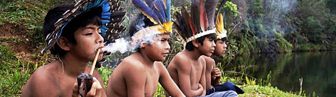 guaranipan